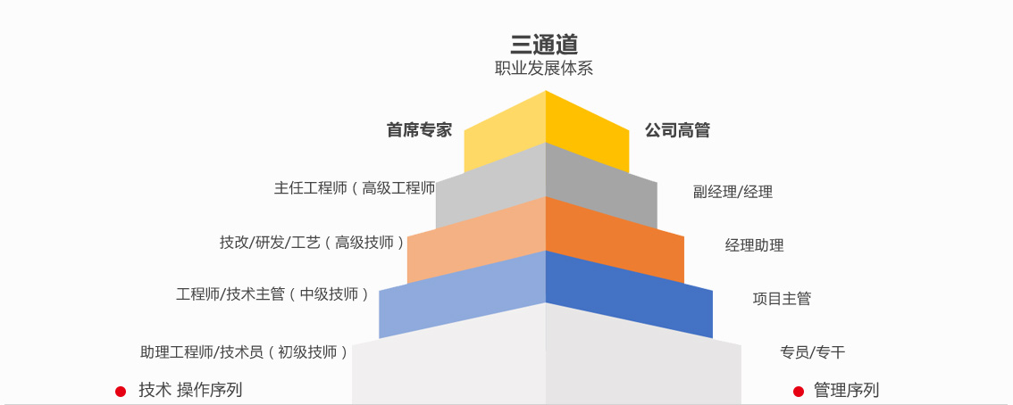 职业发展 职业发展